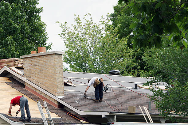 Best Roof Gutter Cleaning  in Duvall, WA